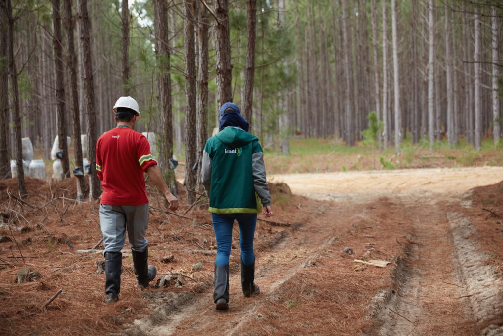 Irani conquista reconhecimento por boas práticas de diversidade e
