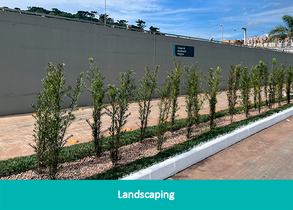 galeria-gaia-en-1T24-7-Paisagismo