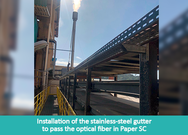 galeria-gaia-en-2T22-6-01