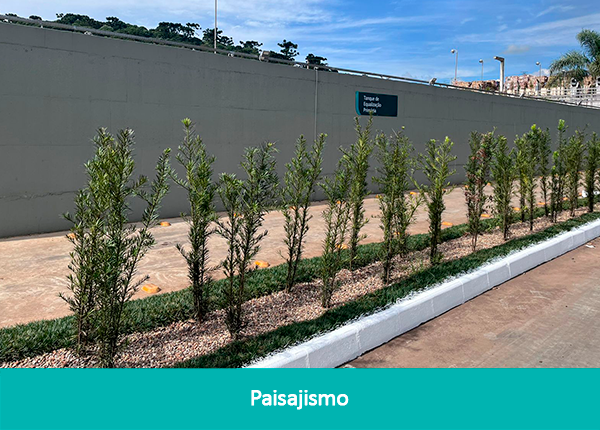 galeria-gaia-es-1T24-7-Paisagismo