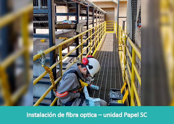 galeria-gaia-es-2T22-6-03